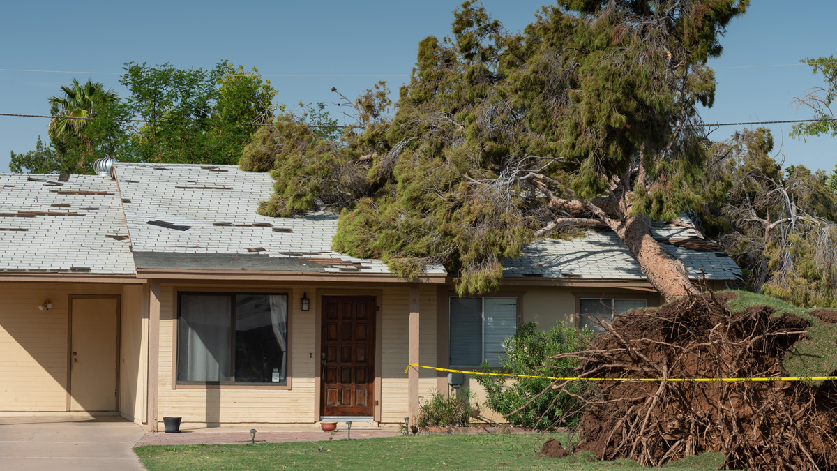 Serious impact damage – is it covered?