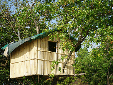 Insurance for unusual rentals