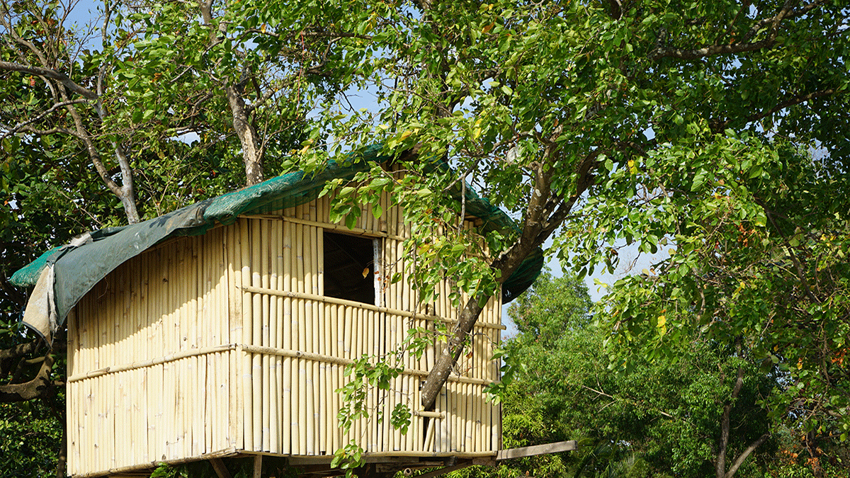 Insurance for unusual rentals