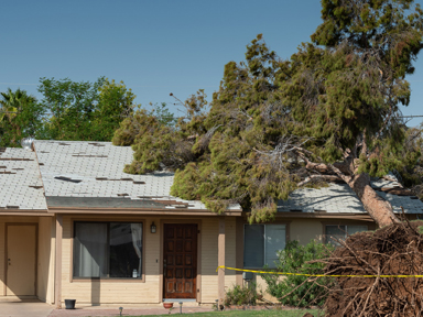 Serious impact damage – is it covered?