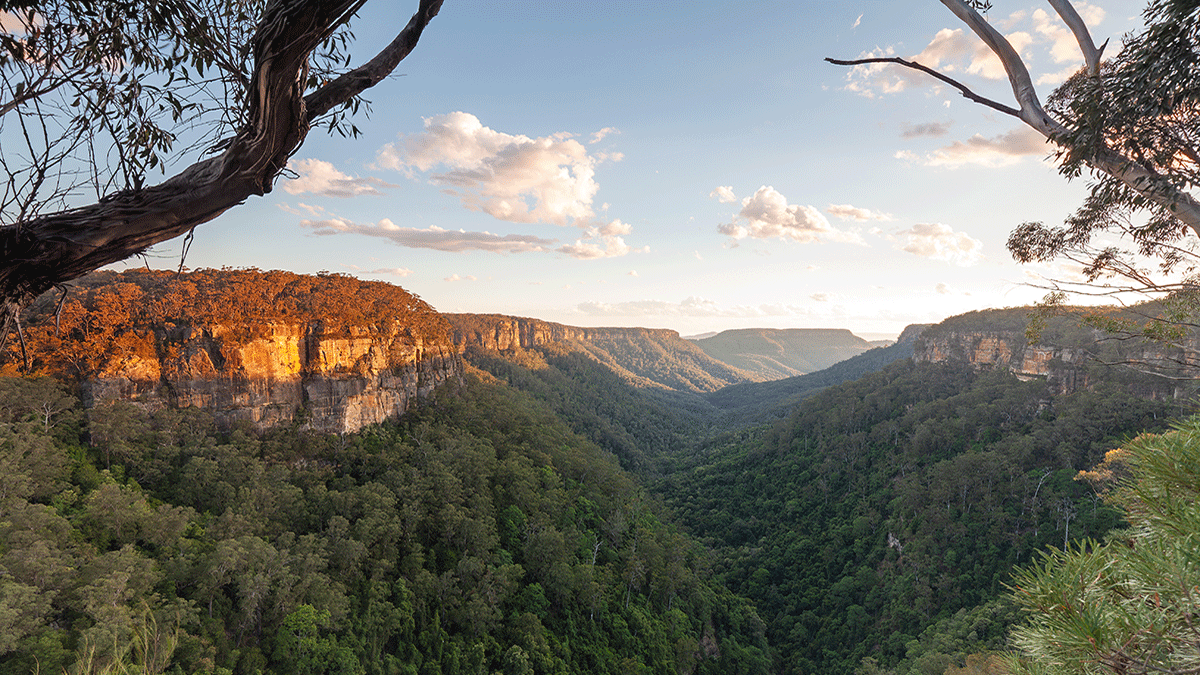 ESL/FSL – what is it and will it impact your premium?