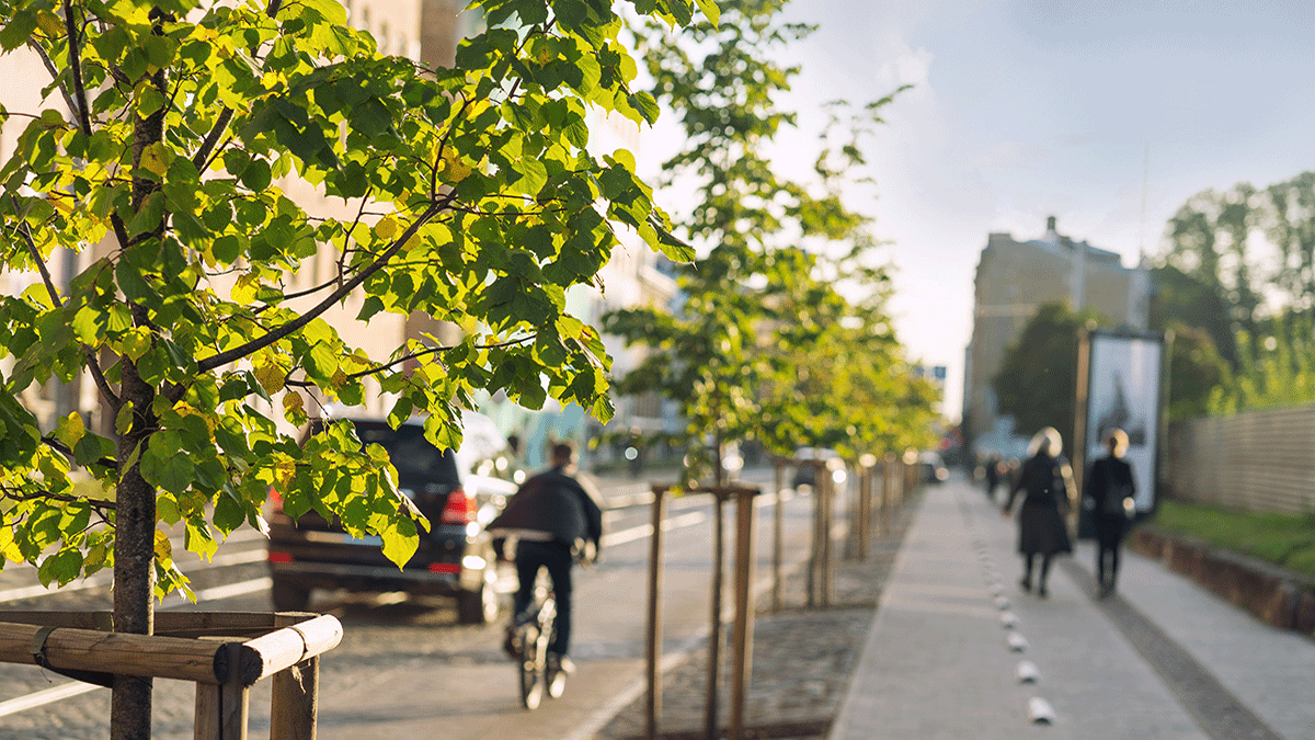 Springtime risks for rental properties