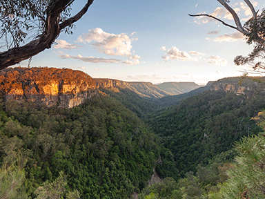 ESL/FSL – what is it and will it impact your premium?