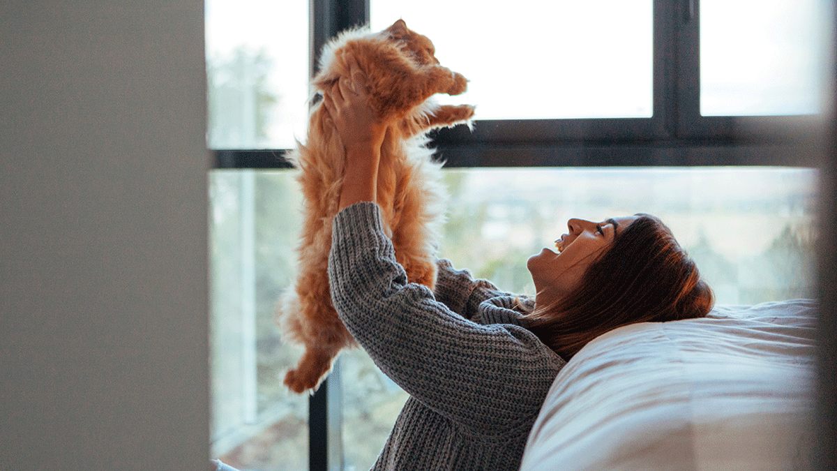 The benefits of allowing pets in rental properties